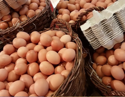 Standart DP soğuk depolama - paketli gıda ürünleri